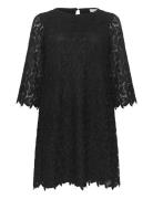 Kcemma Lace Dress Knælang Kjole Black Kaffe Curve