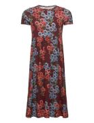 Daisys Aop Ss Dress Dresses & Skirts Dresses Casual Dresses Short-slee...