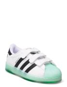 Superstar Led Lights Cf C Low-top Sneakers White Adidas Originals