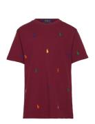 Polo Pony Cotton Mesh Tee Tops T-Kortærmet Skjorte Burgundy Ralph Laur...