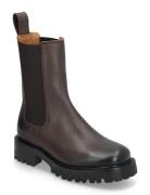 Boliniaria Shoes Chelsea Boots Brown Tiger Of Sweden