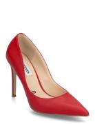 Evelyn-E Pump Shoes Heels Pumps Classic Red Steve Madden