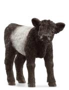 Schleich Galloway Calf Toys Playsets & Action Figures Animals Black Sc...