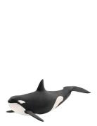 Schleich Killer Whale Toys Playsets & Action Figures Animals Multi/pat...