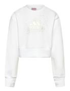 Jg Glm Crew Tops Sweatshirts & Hoodies Sweatshirts White Adidas Sports...