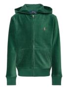 Corduroy Jogger Pant Tops Sweatshirts & Hoodies Hoodies Green Ralph La...