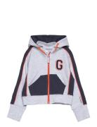 College Zip Hoodie Grey Mel Tops Sweatshirts & Hoodies Hoodies Grey Ge...