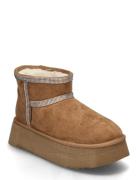 Campfire-R Bootie  Shoes Wintershoes Brown Steve Madden