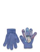 Gloves Accessories Gloves & Mittens Gloves Blue Frost