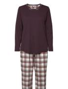 Cotton Flannel Pyjamas Pyjamas Nattøj Burgundy Lady Avenue