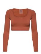 Luxe Seamless Crop Long Sleeve Sport Crop Tops Long-sleeved Crop Tops ...