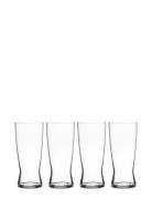 Beer Classic Lager 56 Cl 4-Pack Home Tableware Glass Beer Glass Nude S...