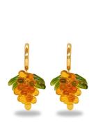 Apricot Jelly Earrings Designers Jewellery Earrings Hoops Yellow ANNEL...