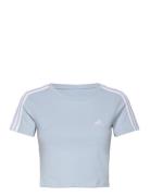 W 3S Baby T Sport Crop Tops Short-sleeved Crop Tops Blue Adidas Sports...