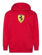 Ferrari Race Big Shield Hoodie Sport Sport Clothing Sport Sweatshirts ...