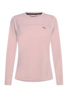 W Seasons Drycell Ls Tee Sport Women Sport Clothing Sports Tops & T-sh...