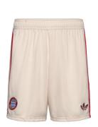 Fc Bayern 2024/2025 3Rd Short Sport Sport Clothing Sport Shorts Sport ...