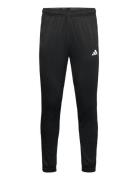 Adidas Train Essentials Camo Training Pant Sport Men Sport Clothing Sp...