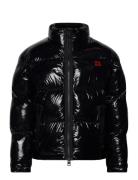 Biron2441 Designers Jackets Padded Jackets Black HUGO