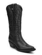 Wishley Boot Shoes Boots Cowboy Boots Black Steve Madden