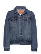 Levi's® Trucker Jacket Outerwear Jackets & Coats Denim & Corduroy Blue...