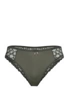 Leia Brazilian Lingerie Panties Brazilian Panties Khaki Green Missya