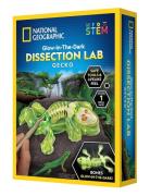 National Geographic Gecko Dissection Lab Toys Experiments And Science ...