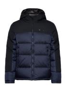 Hooded Jacket Sport Jackets Padded Jackets Navy Champion