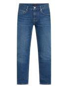 Straight Denton Str Noah Indigo Bottoms Jeans Tapered Blue Tommy Hilfi...