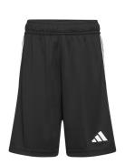 Tiro 23 Sho Y Bottoms Shorts Sport Shorts Black Adidas Performance