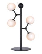 Atom Home Lighting Lamps Table Lamps Black Halo Design