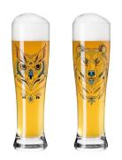 Brauchzeit Ölglas Vete 2-P No: 1 & 2 Home Tableware Glass Beer Glass M...