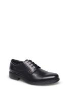 U Dublin A Shoes Business Laced Shoes Black GEOX