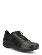 U Nebula A Low-top Sneakers Black GEOX