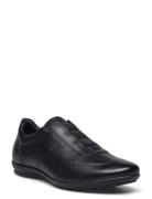 Uomo Symbol C Low-top Sneakers Black GEOX