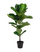 Kili - Artificial Plant, Green H:100 Cm Home Decoration Paper Flowers ...