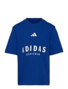 J Allszn Gfx T Sport T-Kortærmet Skjorte Blue Adidas Sportswear