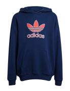 Hoodie Sport Sweatshirts & Hoodies Hoodies Navy Adidas Originals