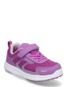 Perry Pax Low-top Sneakers Purple PAX