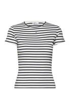 Tjw Slim Essential Rib Ss Ext Tops T-shirts & Tops Short-sleeved Navy ...