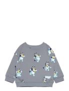 Bluey-Print Sweatshirt Tops Sweatshirts & Hoodies Sweatshirts Grey Man...