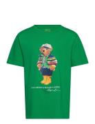 Polo Bear Cotton Jersey Tee Tops T-Kortærmet Skjorte Green Ralph Laure...