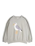 Seagull Sp Sweatshirt Tops Sweatshirts & Hoodies Sweatshirts Grey Mini...