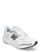 New Balance Freshfoam Arishi V4 Sport Sport Shoes Sport Running Shoes ...