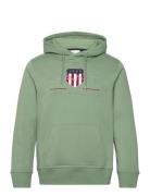 Reg Archive Shield Hoodie Tops Sweatshirts & Hoodies Hoodies Khaki Gre...