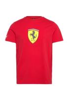 Ferrari Race Colored Big Shield Tee Sport Men Men Sports Clothes Sport...