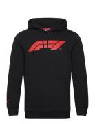 F1 Ess Logo Hoodie Sport Men Sport Clothing Sport Sweatshirts & Hoodie...