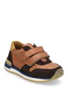 Shoes - Flat - With Velcro Low-top Sneakers Brown ANGULUS