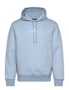 Logo Double-Knit Hoodie Tops Sweatshirts & Hoodies Hoodies Blue Polo R...