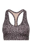 Let's Move Park Bra Lingerie Bras & Tops Soft Bras Tank Top Bras Brown...